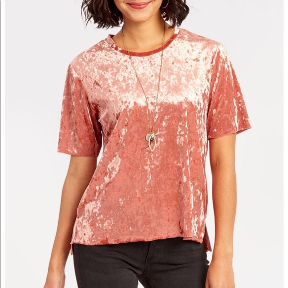 NWOT Peyton Jensen Velvet Tee Size Small